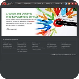 BSurprise - Website Desi...
