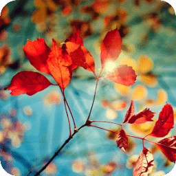 Galaxy Autumn Livewallpaper