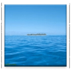 海洋浏览器