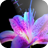 美丽的鲜花壁纸