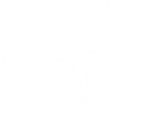 Salsa TT