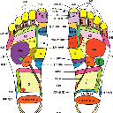 穴位按摩养生技巧大全