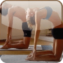 calorie fitness free