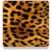 Leopard Print Wallpapers