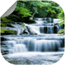 Amazing Nature Scene HD