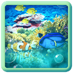 Aquarium LWP