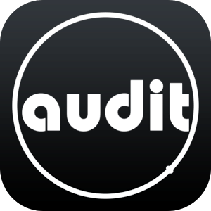 Audit Quote
