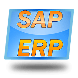 Ultimate SAP ERP Flashca...