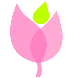 French Tulip