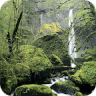 Galaxy Nexus Wallpapers HD