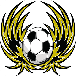 Wellington Phoenix Fan
