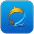 Dolphin Tweet