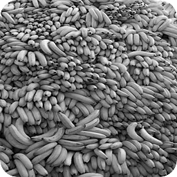 About Bananas (1935)