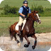 racing horse game
