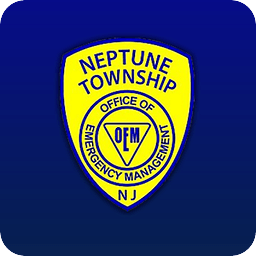 NT OEM