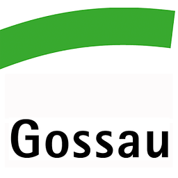 Stadt Gossau SG