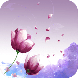 飞舞的花瓣-梦象壁纸
