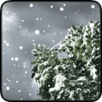 冬季降雪壁纸