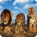 Big Cat Sounds