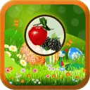 Kids Fruit Game