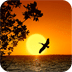 Sunset - PuzzleBox