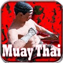Best Muay Thai Knockouts
