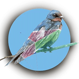 Prototipo Aves de Chile ...