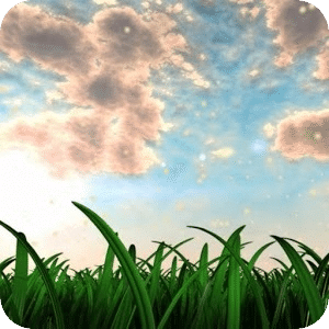 Swaying Grass Live Wallpaper