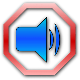 No Startup Sound