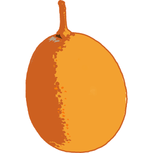 Kumquat Mandarin Chinese Cards
