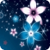 Glitter Of Blue n Pink Flowers