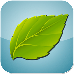 Beautiful Leaves LWP