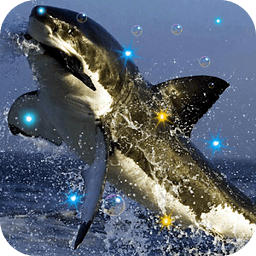 Shark Death Sea LWP