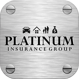 Platinum Insurance Group