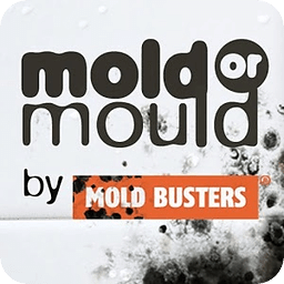 Mold Live Wallpaper Bust...