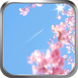 樱花-绿豆动态壁纸