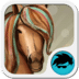 Horse Keyboard
