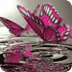 Pink Butterfly