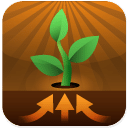 Nutrient Removal