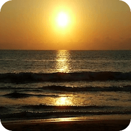 White Noise: Ocean Waves Vol 1