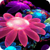 4D花动态壁纸