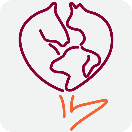 Voorjaarsdagen 2011 Event App