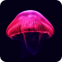 水下精灵荧光水母