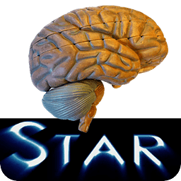 解剖学明星