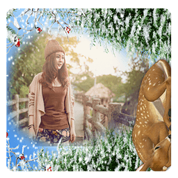 Winter Beauty Frames Cam...