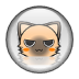 猫的声音