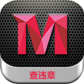 美微章