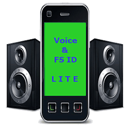 Voice Full Screen Caller ID Li