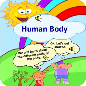 身体部位为孩子们