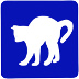 玩与猫